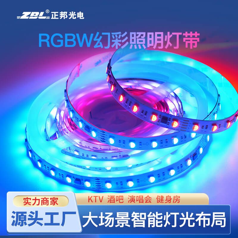 DMX512燈帶RGBW幻彩四合一外置IC 60燈每米DC24V - 3