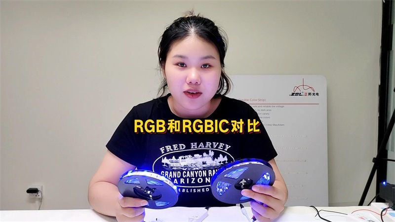 RGB vs RGBIC: 燈帶中的兩大巨頭有什么區(qū)別？