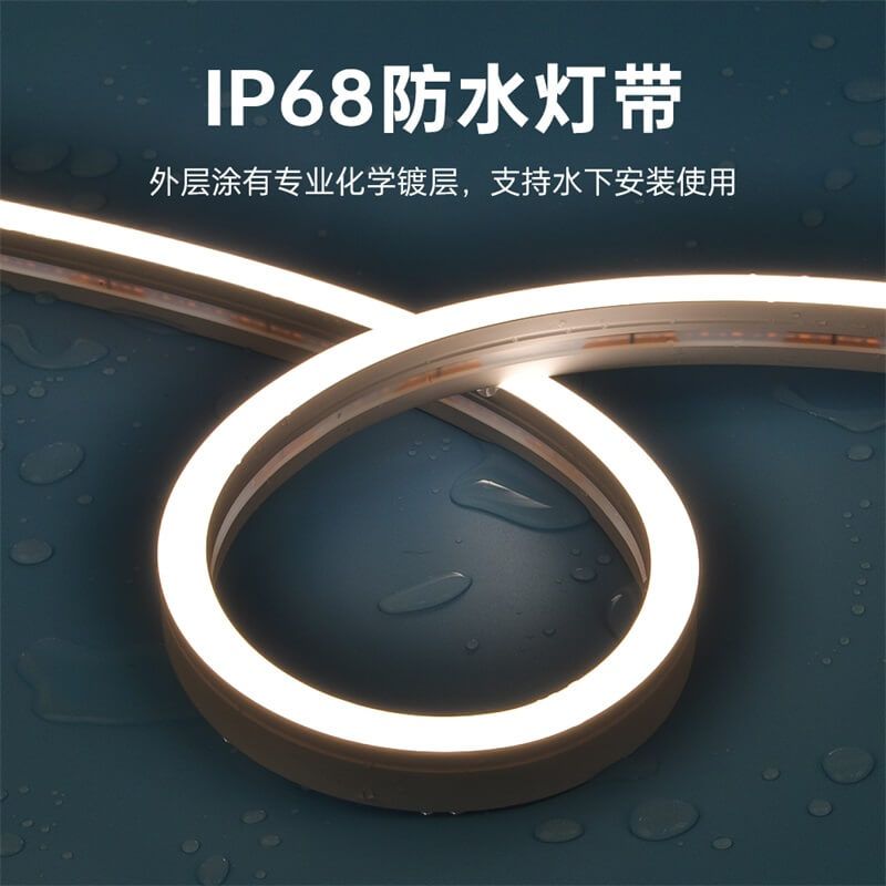 IP68防水燈帶泳池戶外專屬一體注塑成型工藝低壓霓虹燈帶20x12 側(cè)發(fā)光 - 5