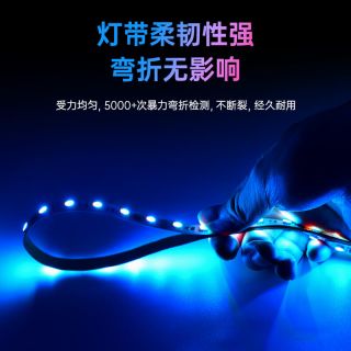 DMX512燈帶RGBW幻彩四合一外置IC 60燈每米DC24V - 6