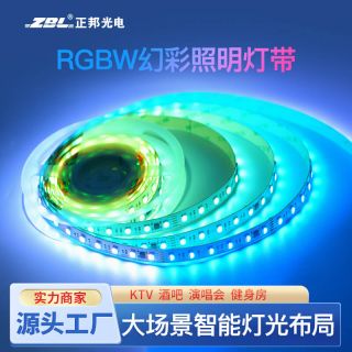 DMX512 RGBW幻彩燈帶四合一60燈每米12mm DC24V - 1